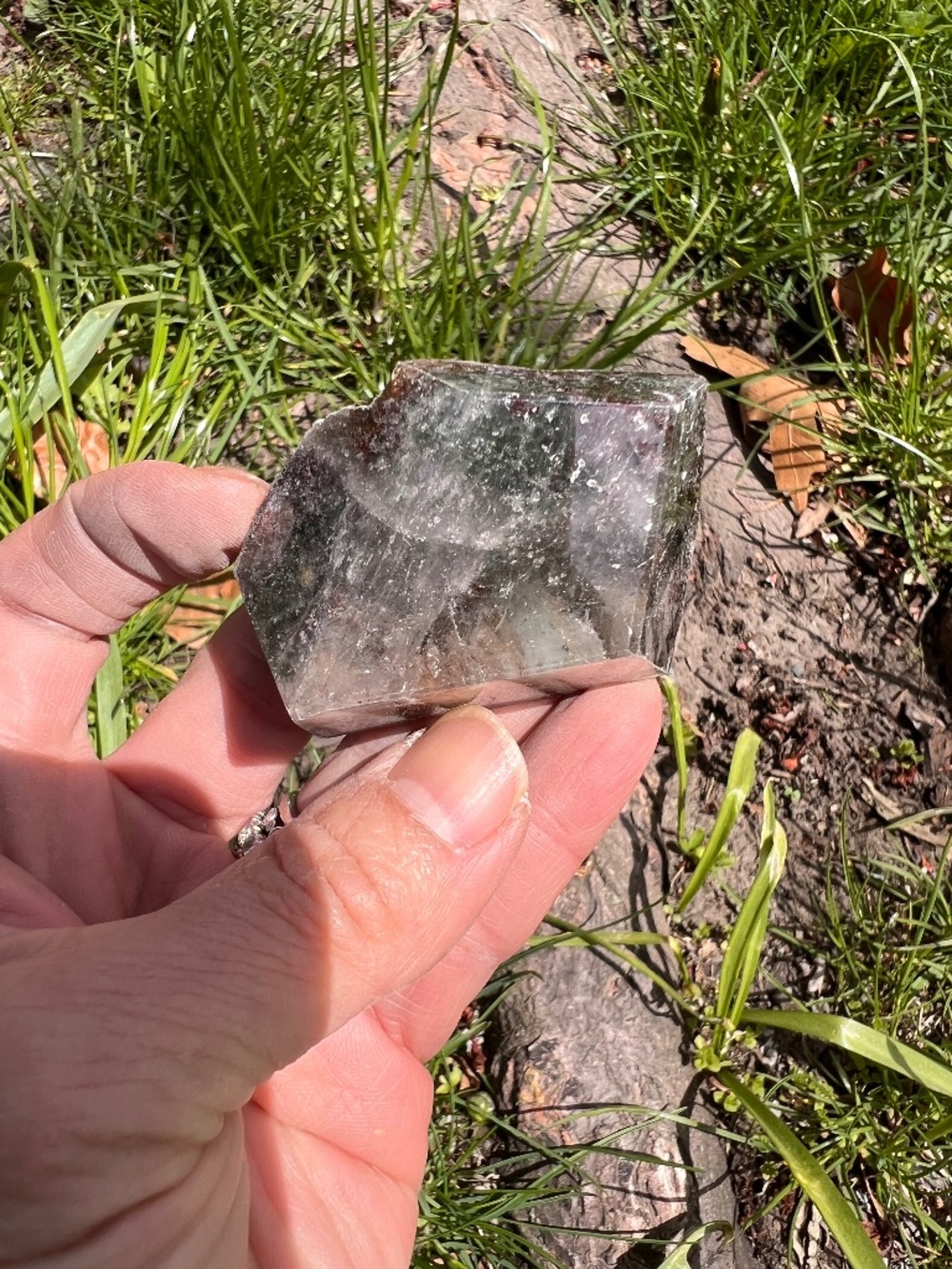 Garden (10! Quartz Freeform | crystal